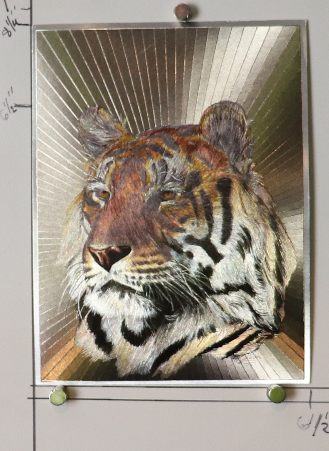 Tiger by Dufex Prints printed on foil NOS (g3)