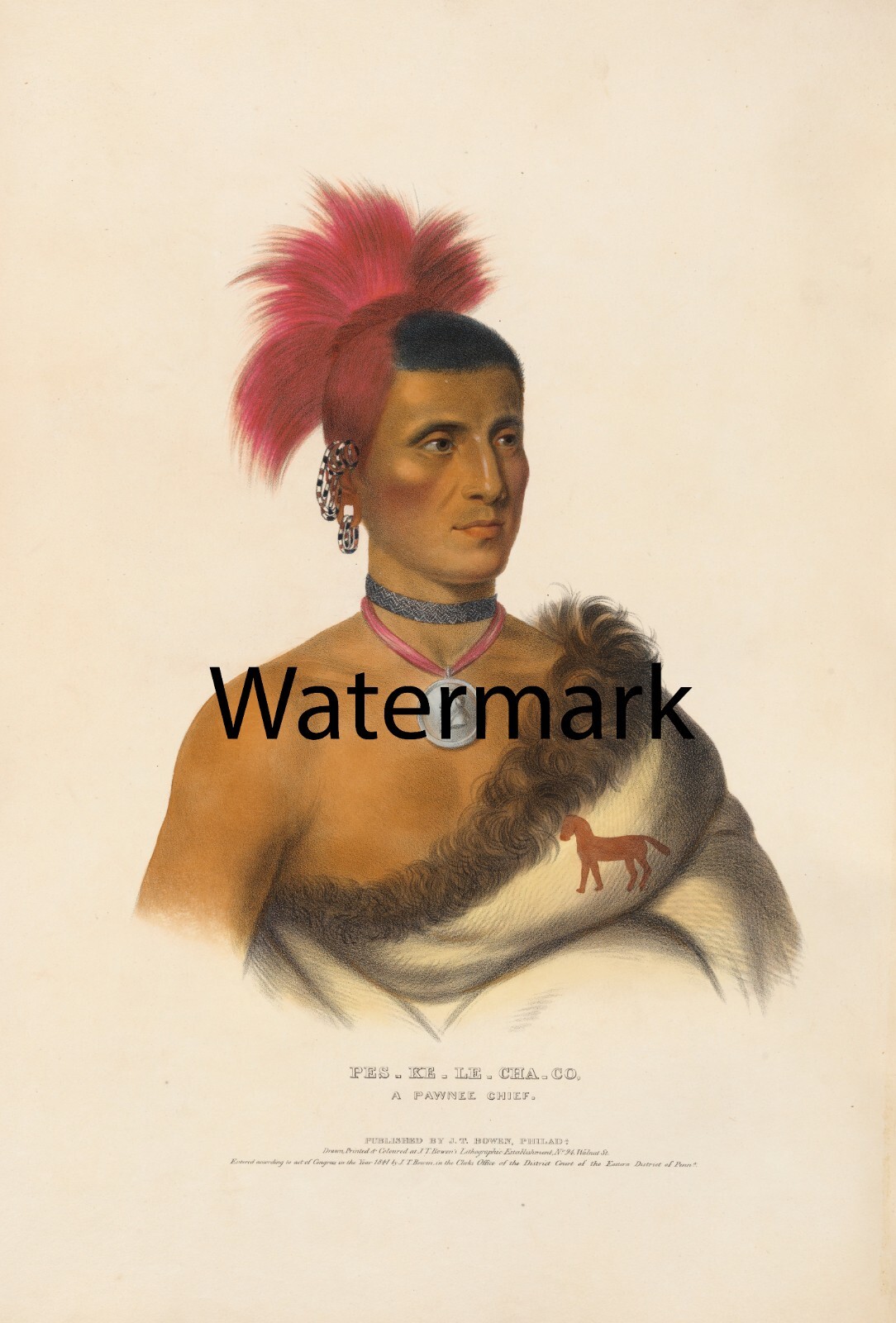 McKenney Hall Indian – Pes-ke-le-cha-co – A Pawnee Chief 17×22 LARGE Print