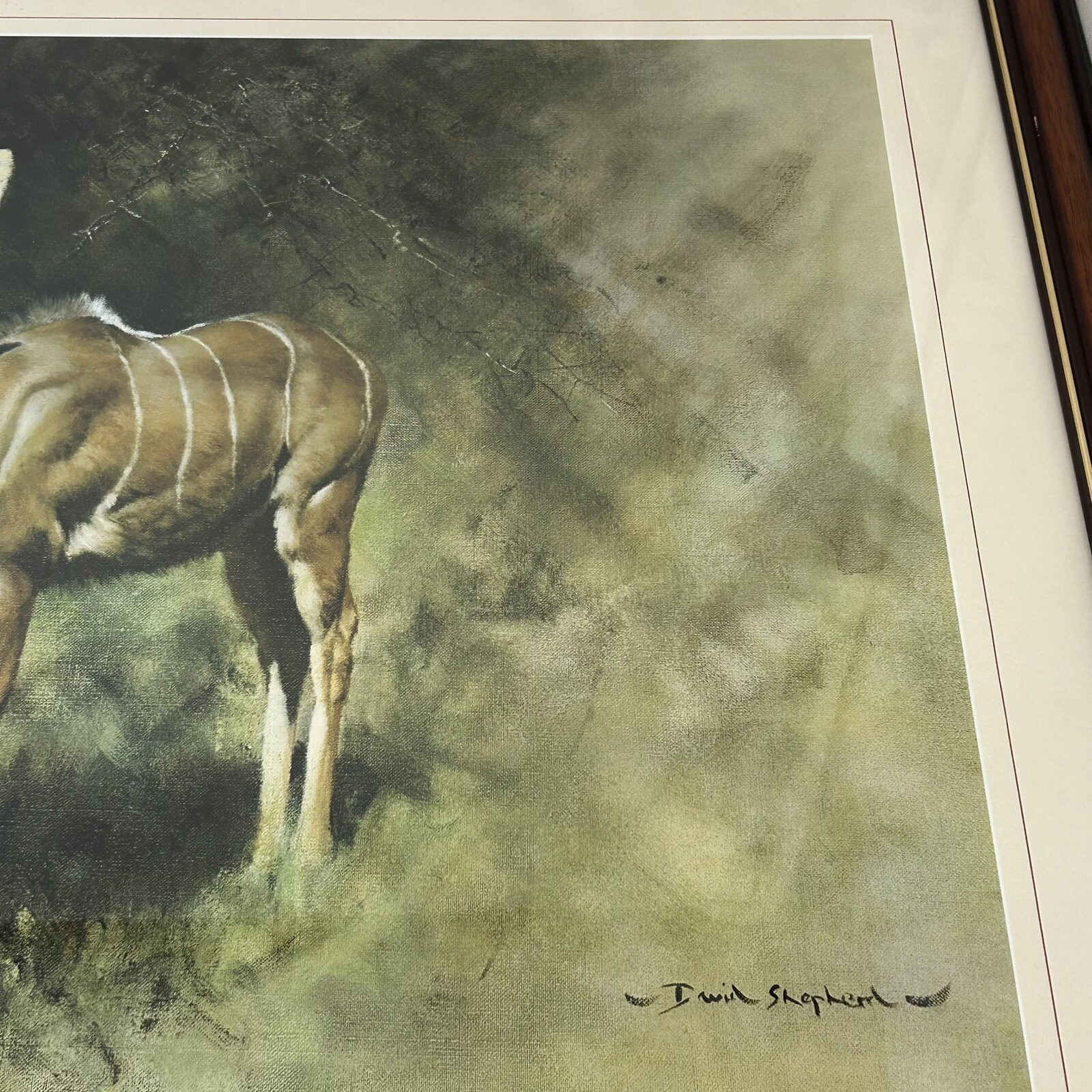 Vintage Print Of A Kudu Antelope By Wildlife Conservation Artist David Shepherd