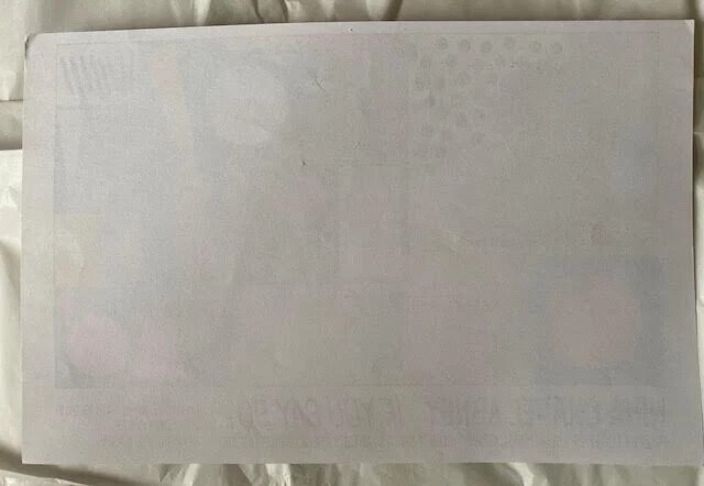 NINA CHANEL ABNEY LIMITED EDITION PRINT IF YOU SAY SO 2016 EARLY EXHIBITION RARE