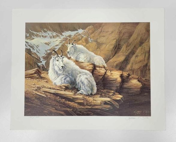 Kathleen Butts Alaska Mountain Goats Resting on Rocks Cliff Art Print Signed AK