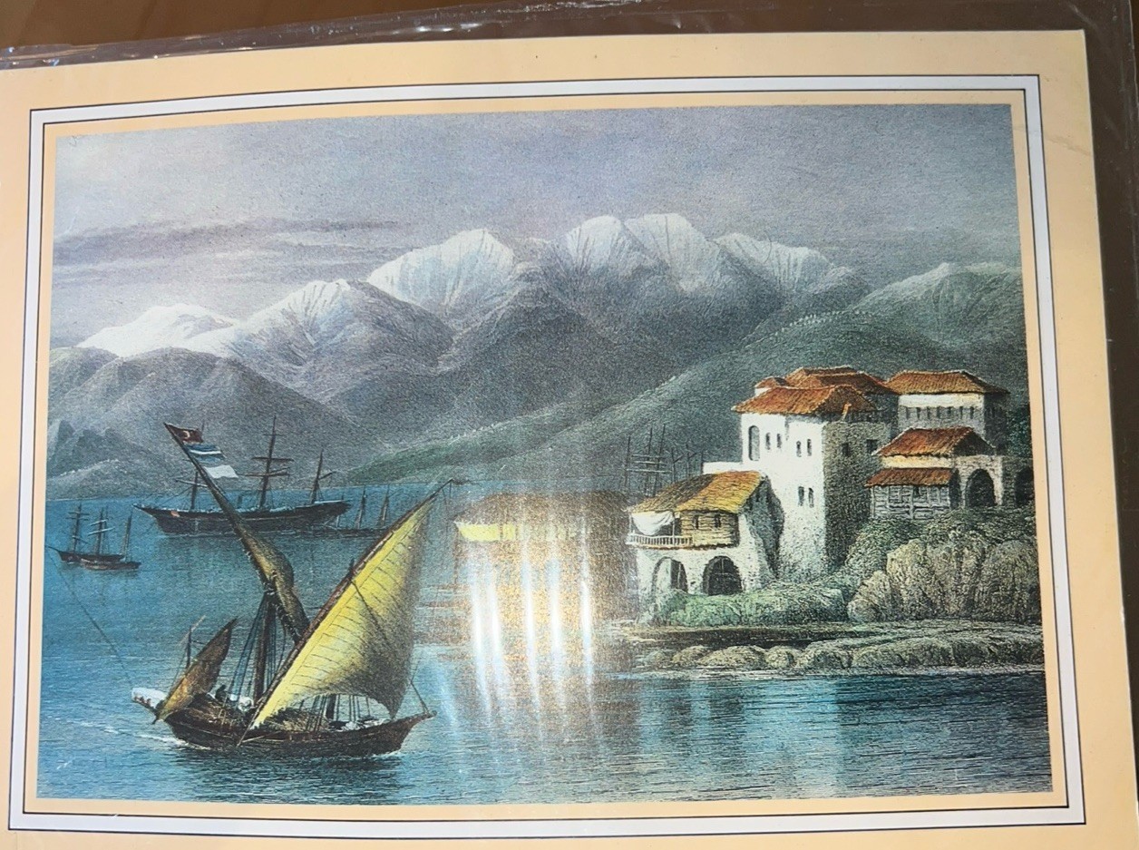 See Photos. 1886 Bay Of Beirut. Fine Original Antique Print By Charles Wilson.