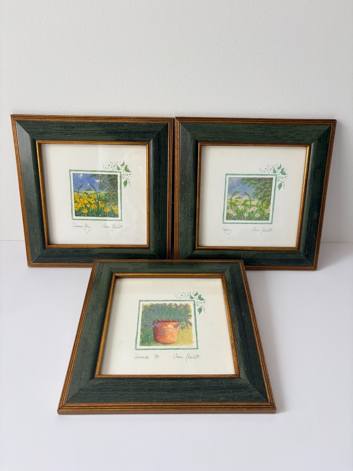 Framed Botanical Print Set – Sonia Duckett Country Cottage Wall Art Vintage