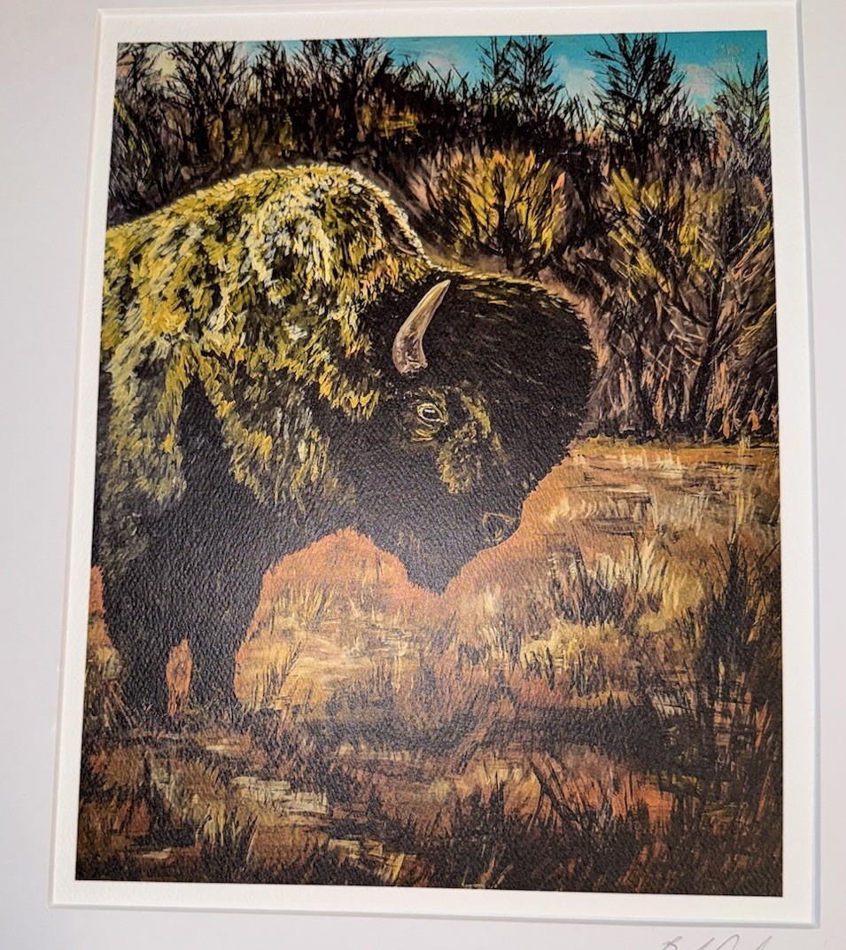Buffalo Art Print Signed Matted 11×8.75 Western Wildlife Prairie Decor