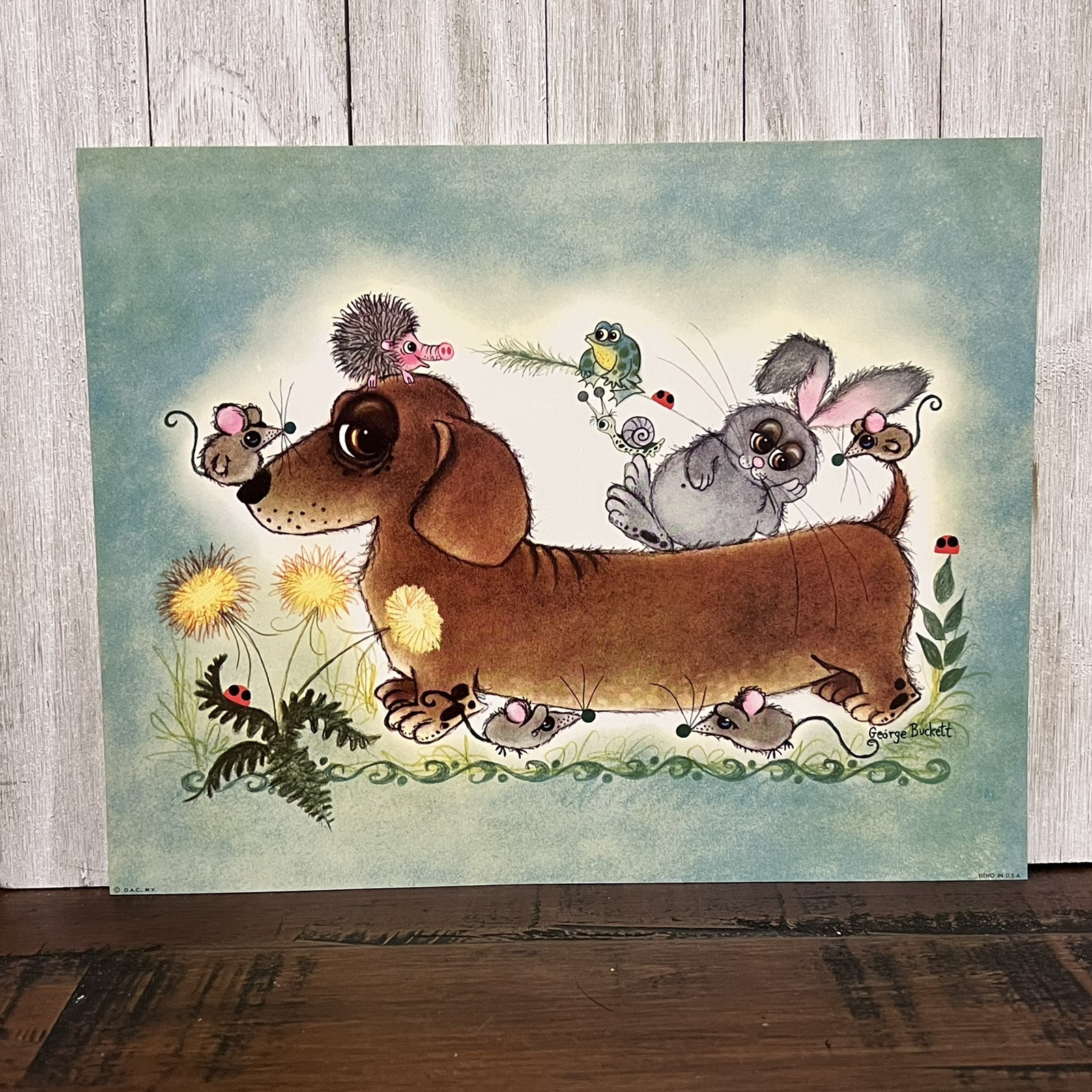 Vintage NOS – George Buckett Dachshund Weenie Dog – 9.75”x7.75” Litho Print