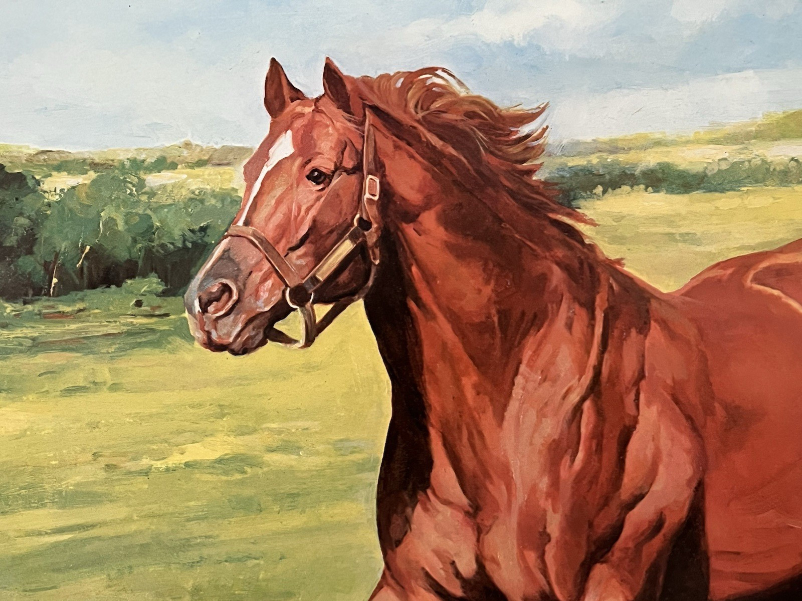 Secretariat Kentucky Derby Racehorse Lithograph Art Artist Signed Triple Crown