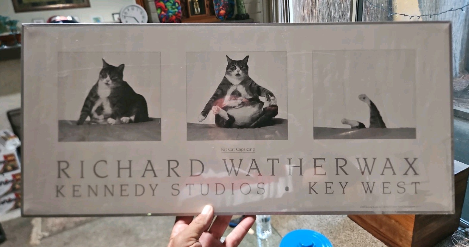 Vintage Fat Cat Capsizing Licensed Publisher Framed Art Print Richard Watherwax