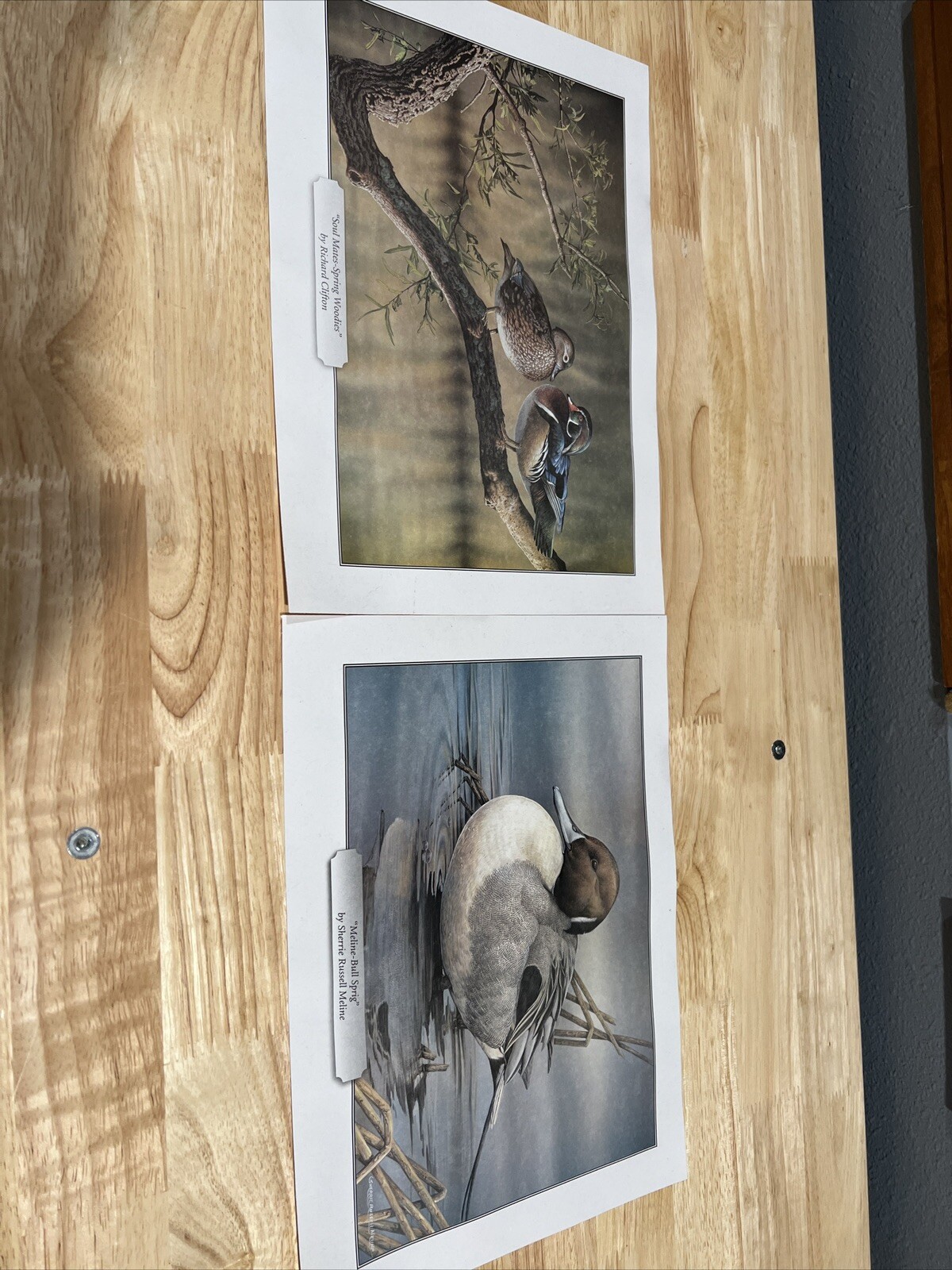 Lot Of (2) Bird Prints Sherrie Russell Meline & Richard Clifton Sprig Woodies