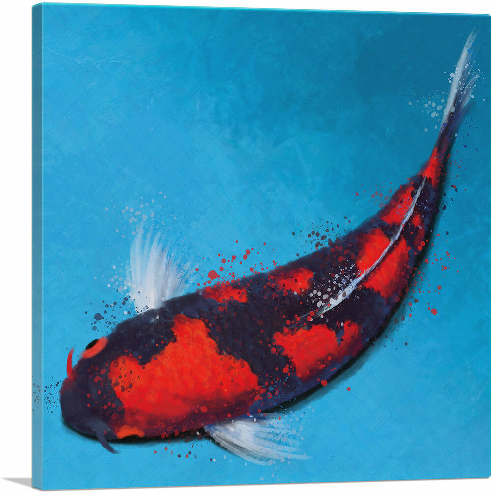 ARTCANVAS Goshiki Koi Carp Fish Japan China Asia Canvas Art Print
