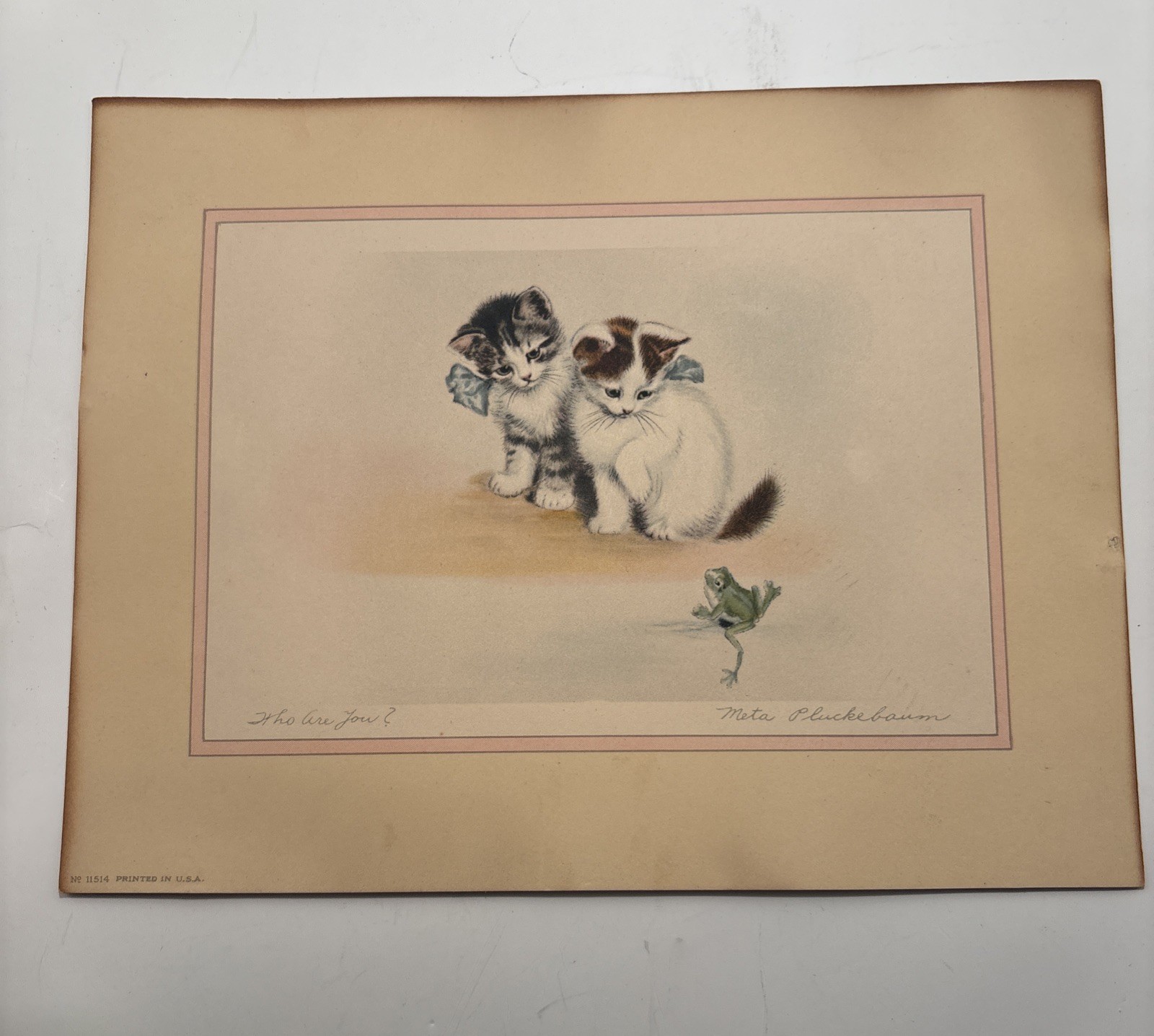 Meta Pluckebaum Signed Kitten “Fluff” Vintage Framed Litho 1920s 9 x7 In