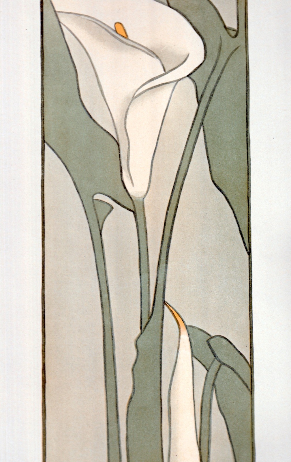 Vintage Floral Print, Calla Lily, Keramic Studio 1908 botanical art 13×10