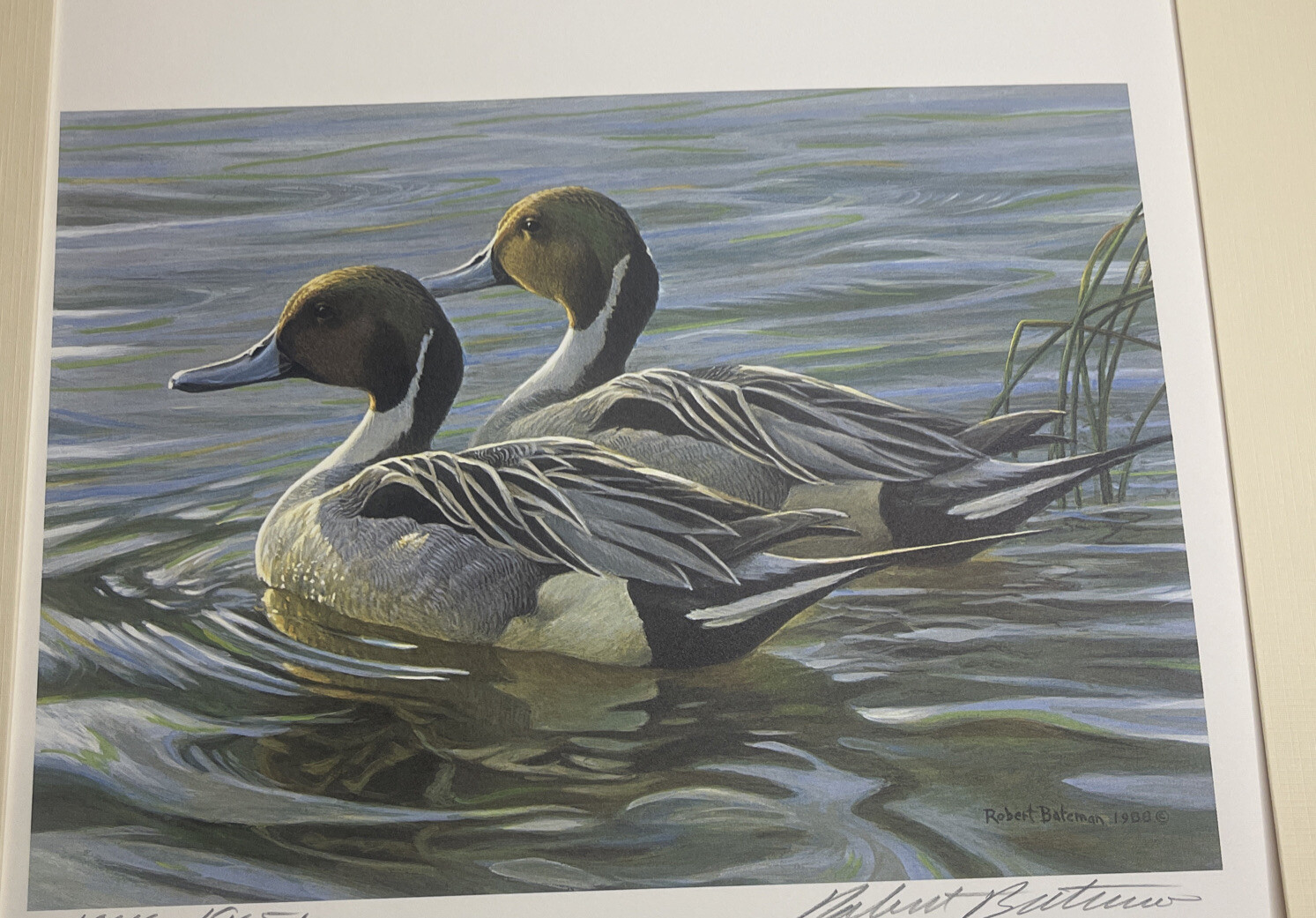 ROBERT BATEMAN 1988 Canada Duck Stamp & Print artist signed stamp 2 stamps