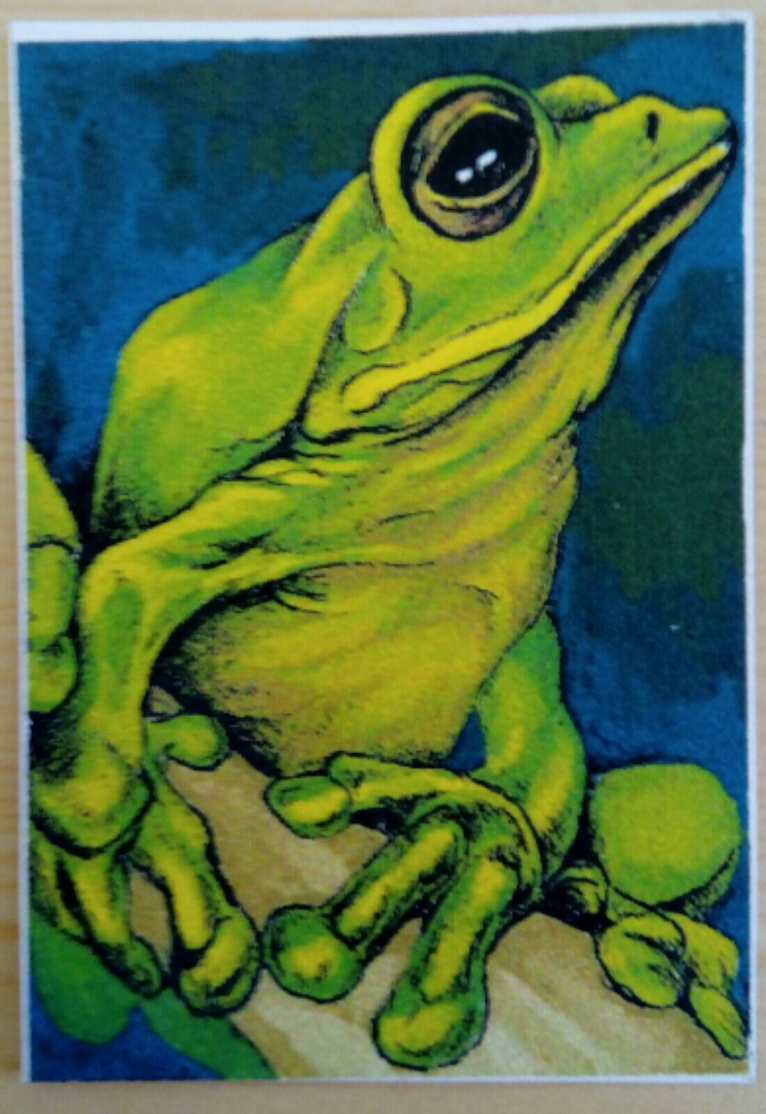 © ART – Ltd.Ed. Green Tree Frog – ACEO collector card by Di