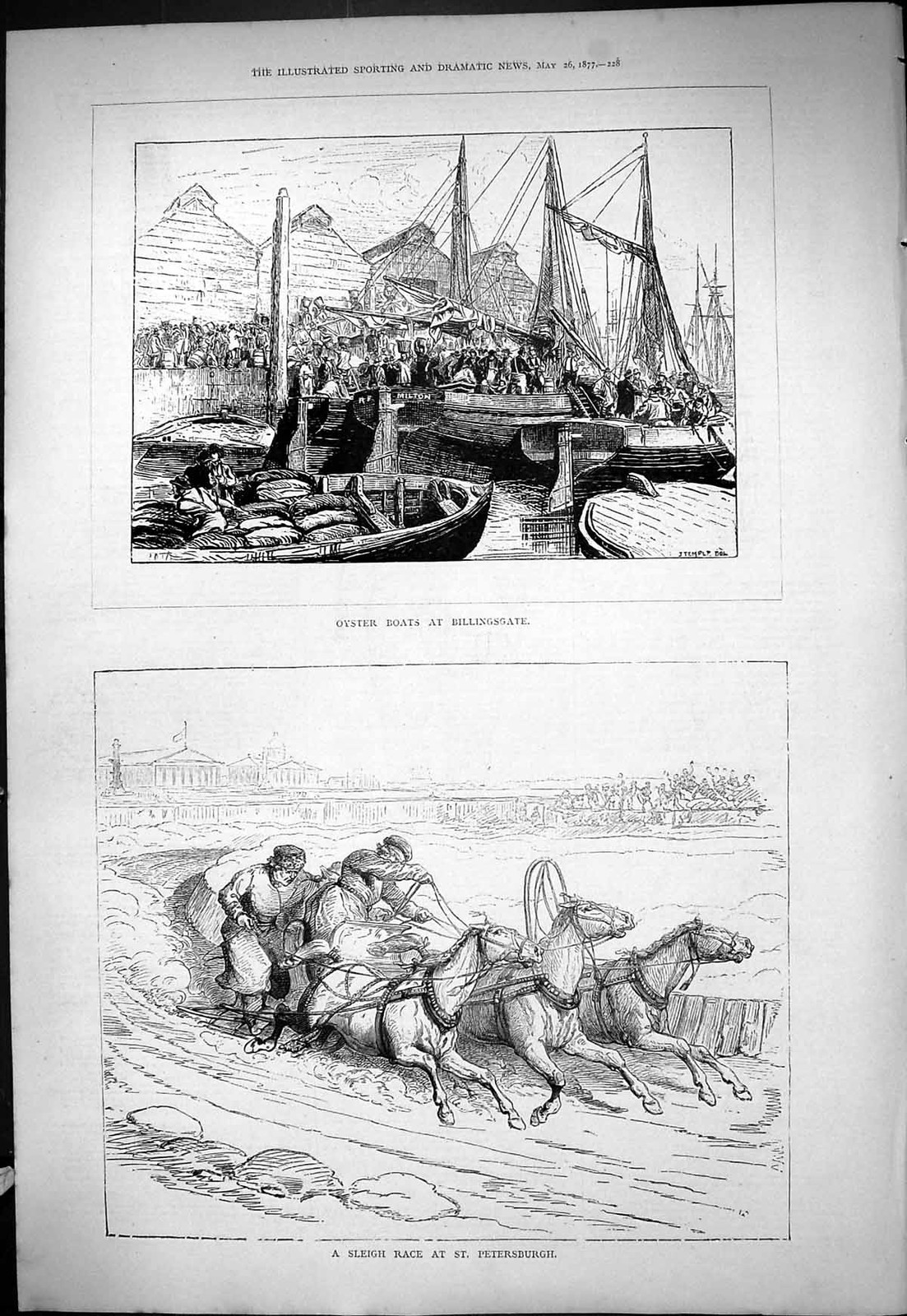 Old 1877 Oyster Boats Billingsgate Sleigh Race Petersburgh Horses Spo Victorian