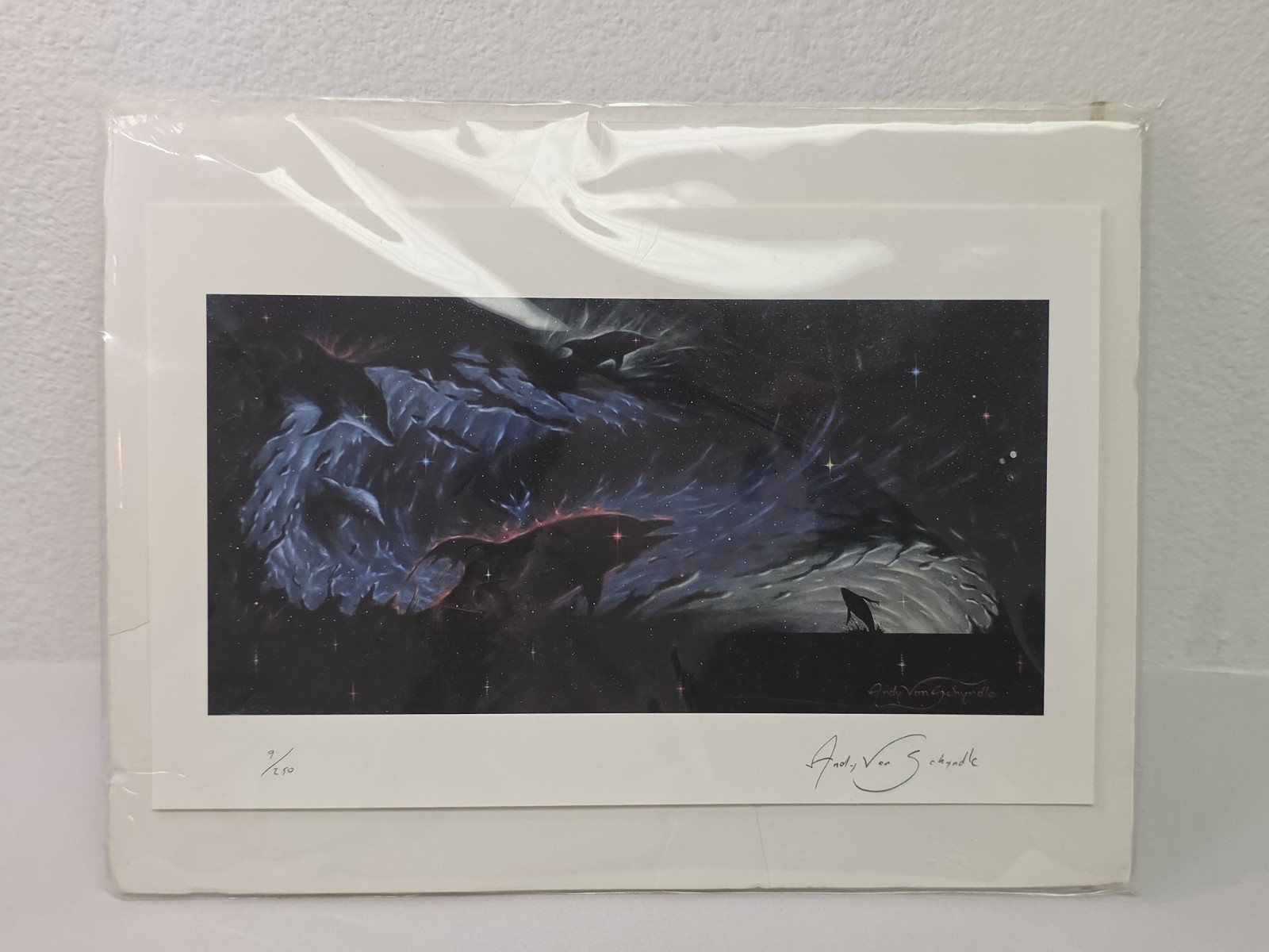 Rare! Andy Van Schyndle SIGNED 9/250 Art Print, Wall Decor, Dolphin, Space 11×7