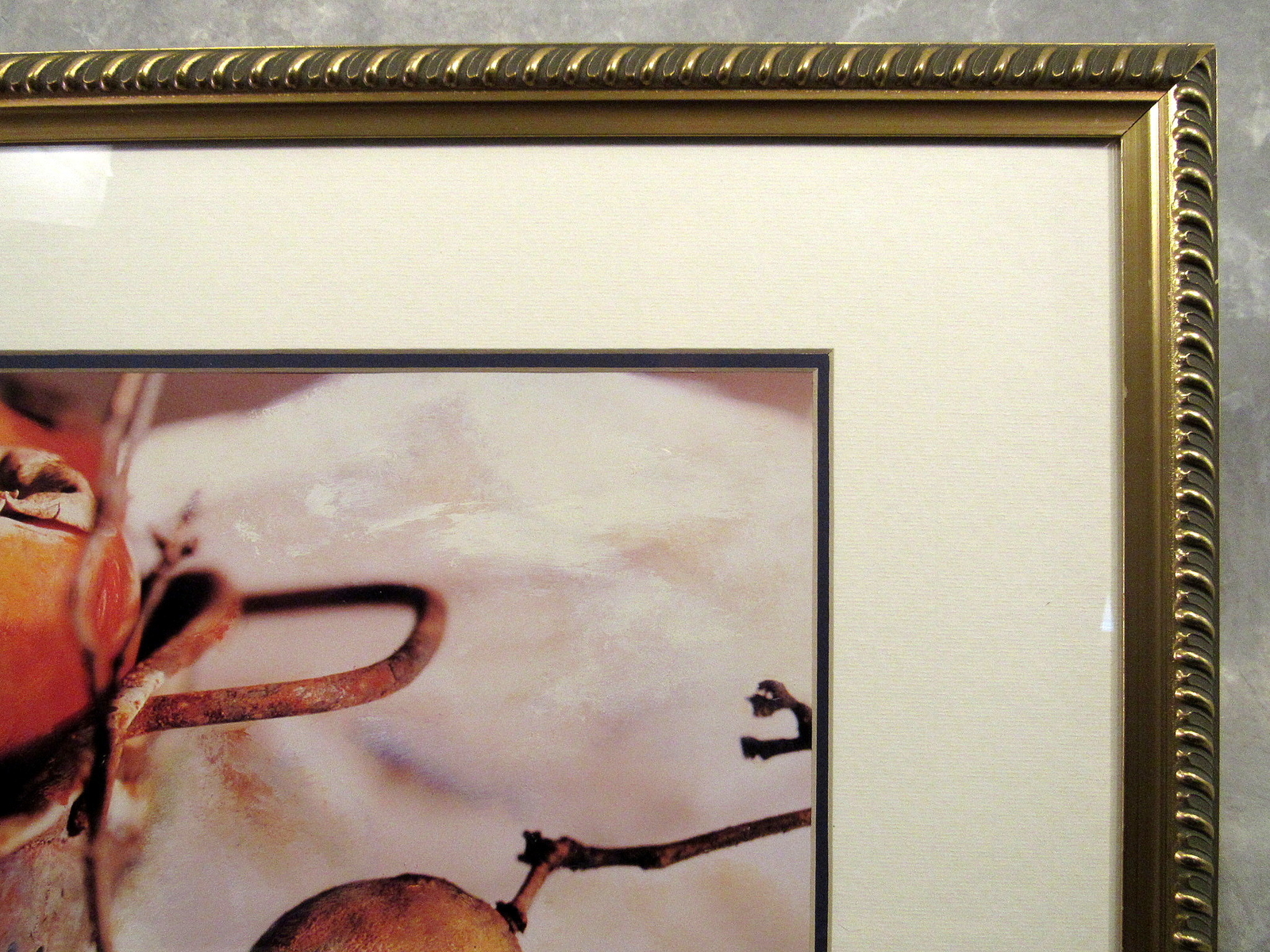 Artist Deborah Roundtree Framed Print PERSIMMONS Still Life art photo Gold frame