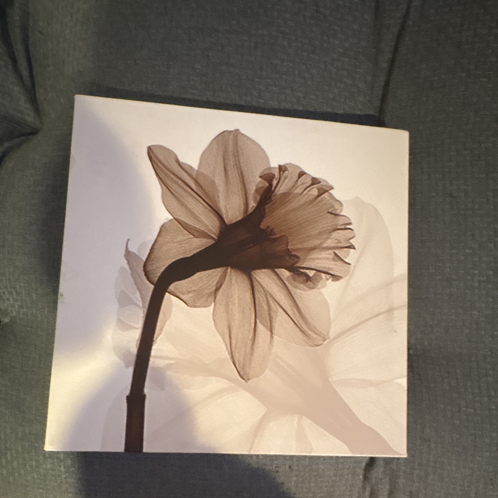 Abstract Floral Poppy Print Wall Art Set, Small Paper Landscape, Unframed