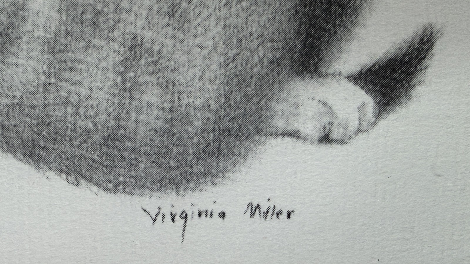 SNUGGLING KITTENS FRAMED ART PRINT VIRGINIA MILLER Black & White Cat Wall Art