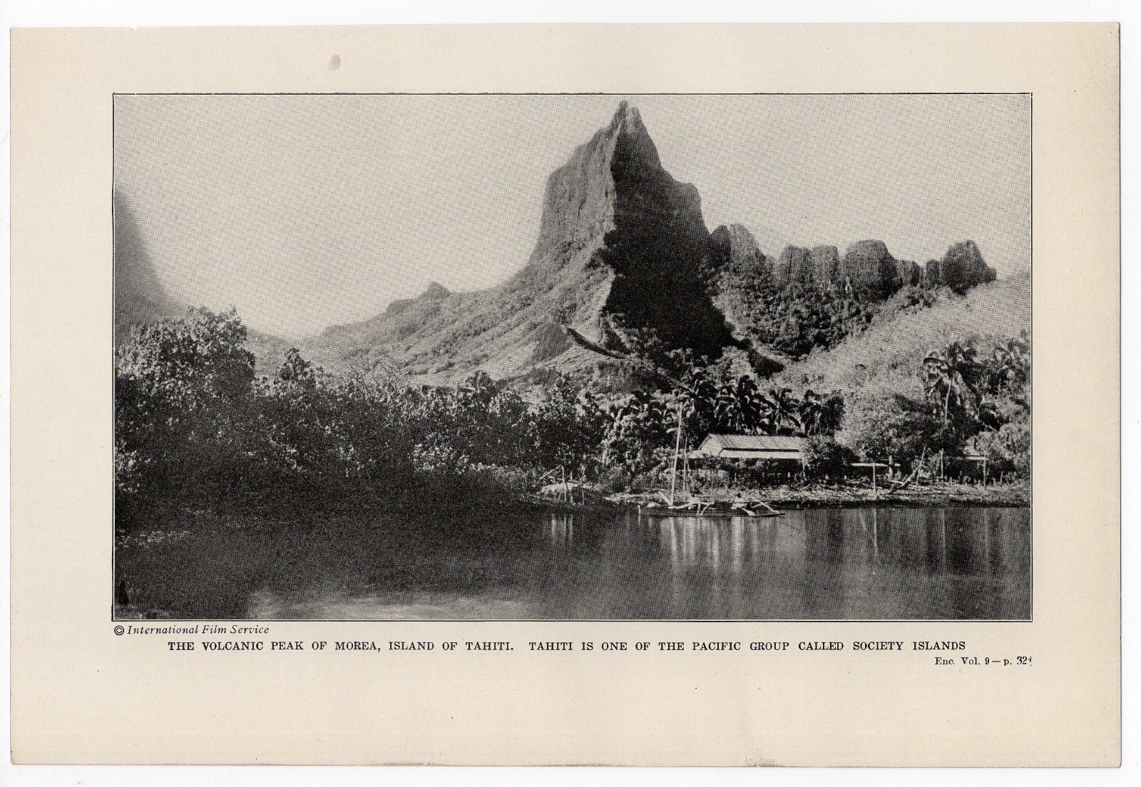 Tahiti Volcanic Peak Morea & Tasmania Tree Ferns 1921 Antique Print