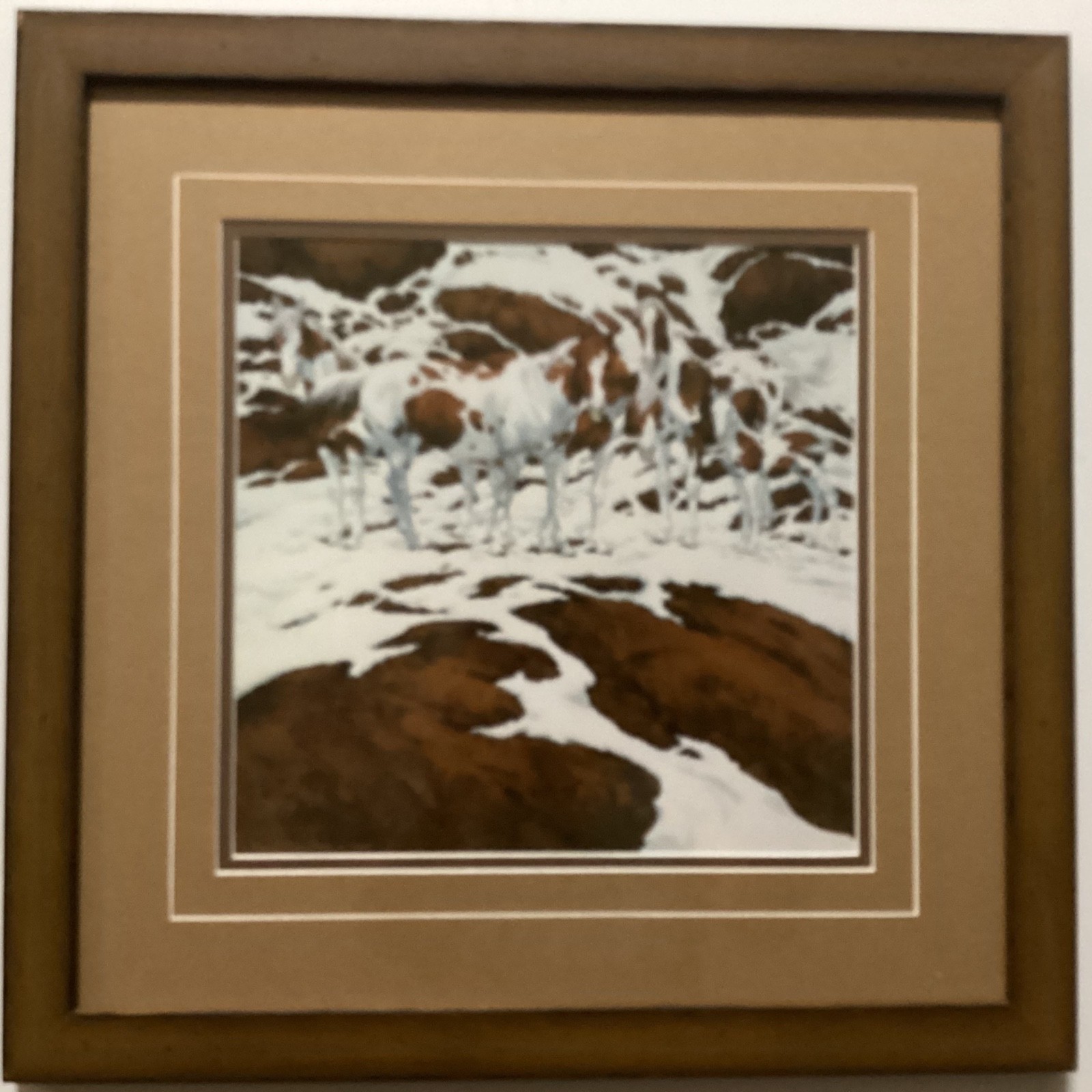 Bev Doolittle Pintos Superior Framing