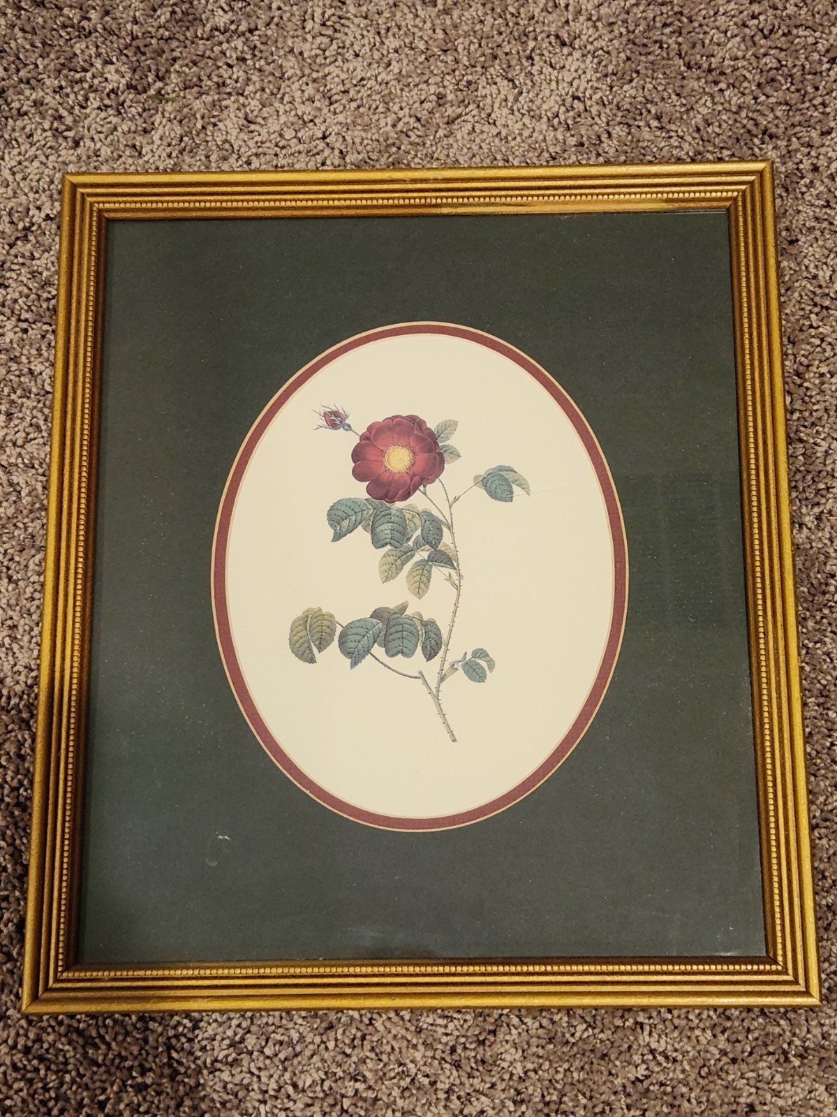 Vintage Botanical Print Roses Matted and Framed 15 1/4″ X 13 1/4″ One of Three