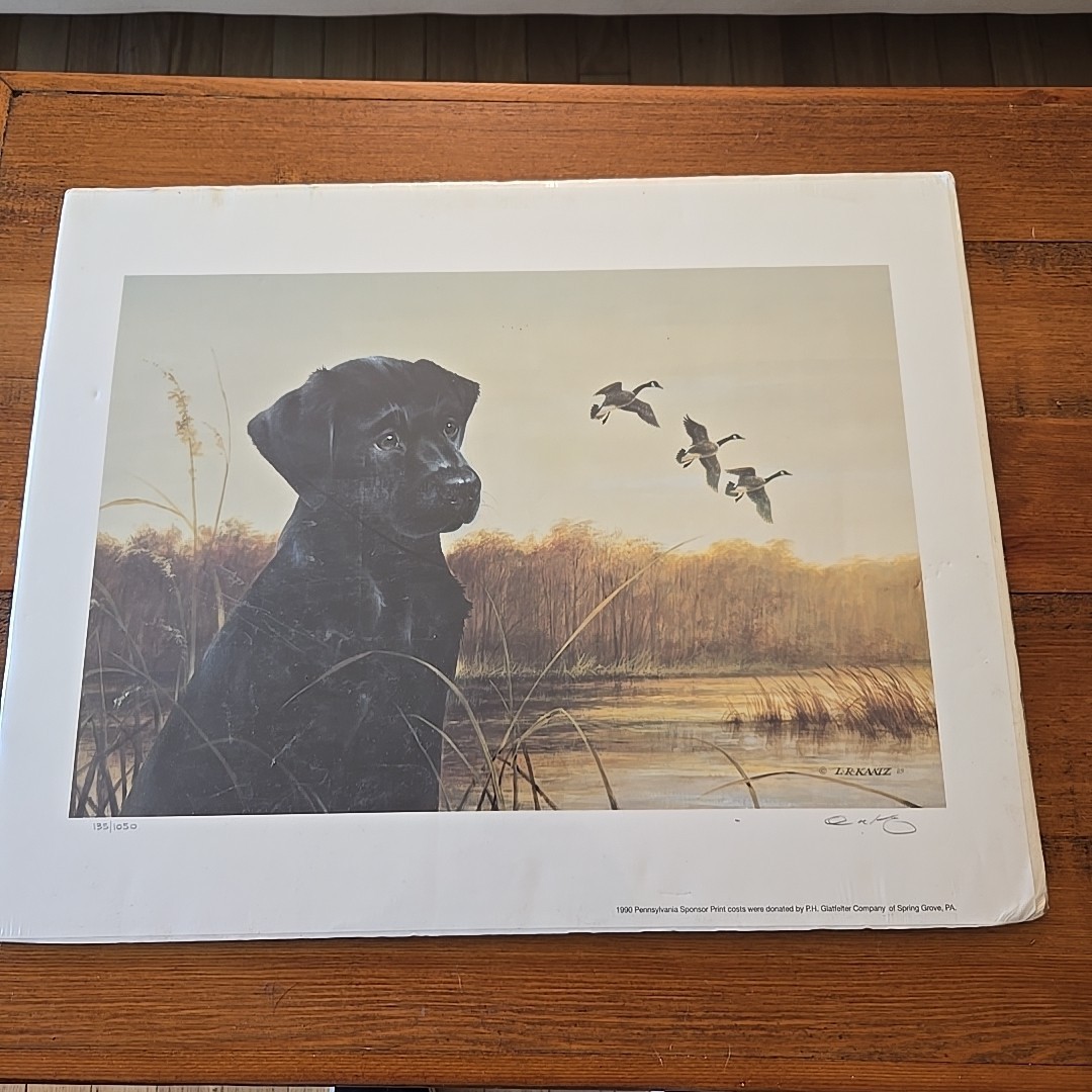Lynn R Kaatz Black Lab Dog and Ducks L/E 135/1050 Signed