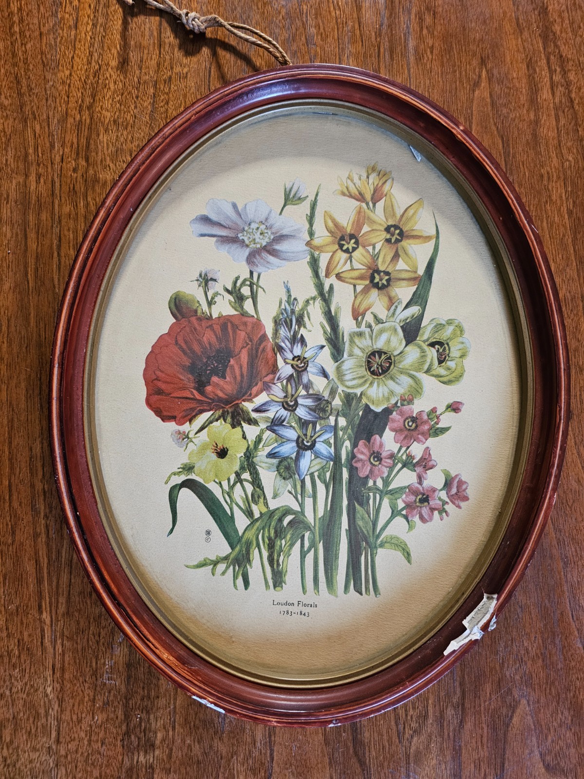 Vtg Loudon Floral Print Bouquet Botanical 1783-1843 Oval Frame 14.5″x11.5″
