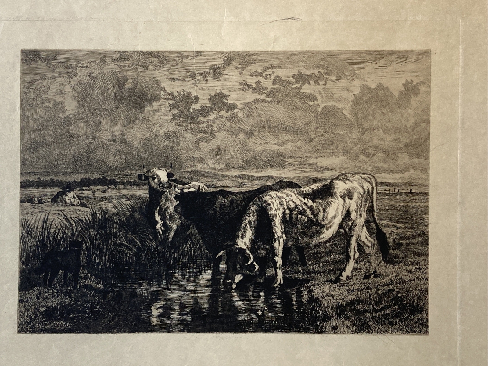 Constant Troyon Etching Richly Inked Three Cows, Man Resting Signed In Image