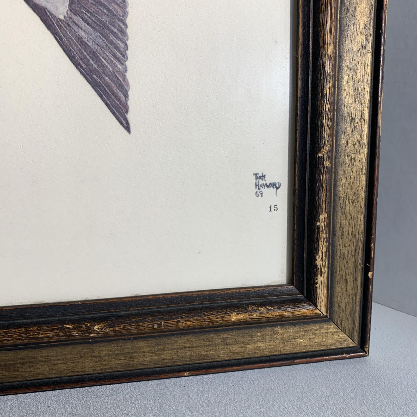 Vintage Framed Art Print Flying Ducks Birds Signed Tuck Hayward 1969 #15