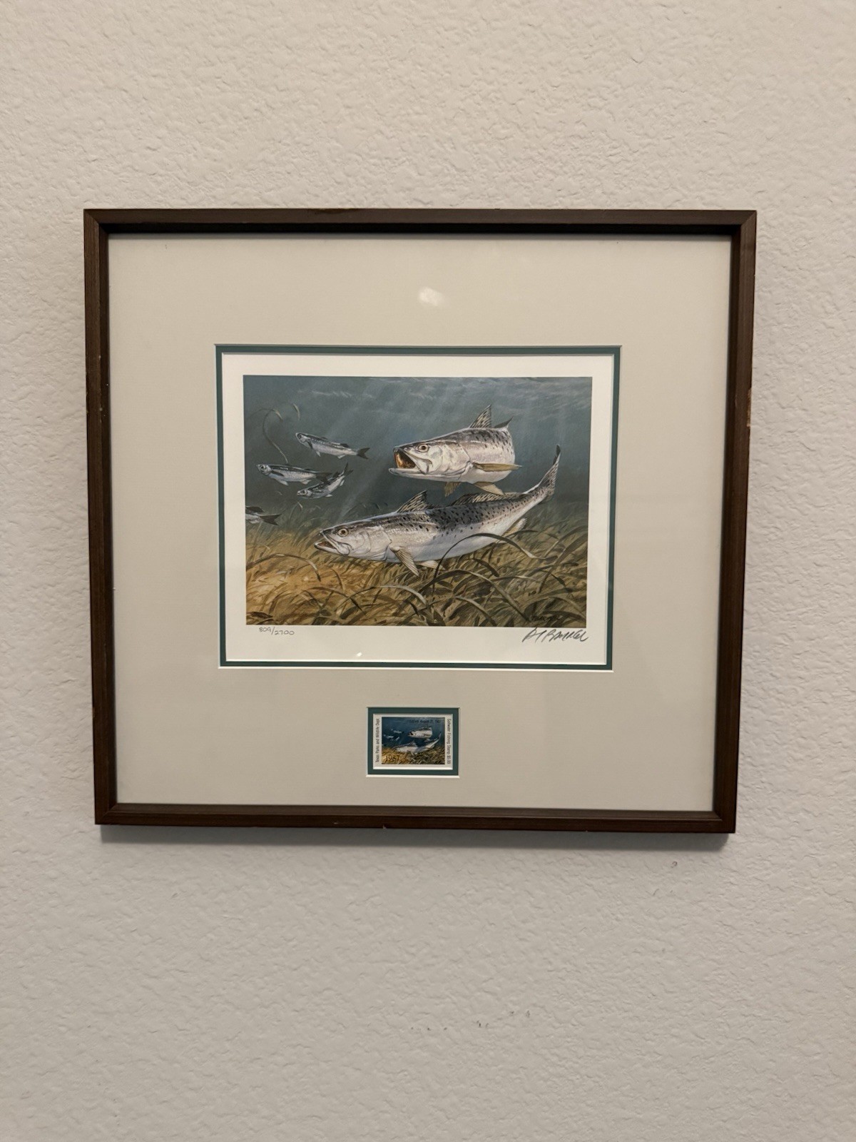 Framed Al Barnes 1987 Texas Saltwater Stamp And Print – 807/2700 Signed