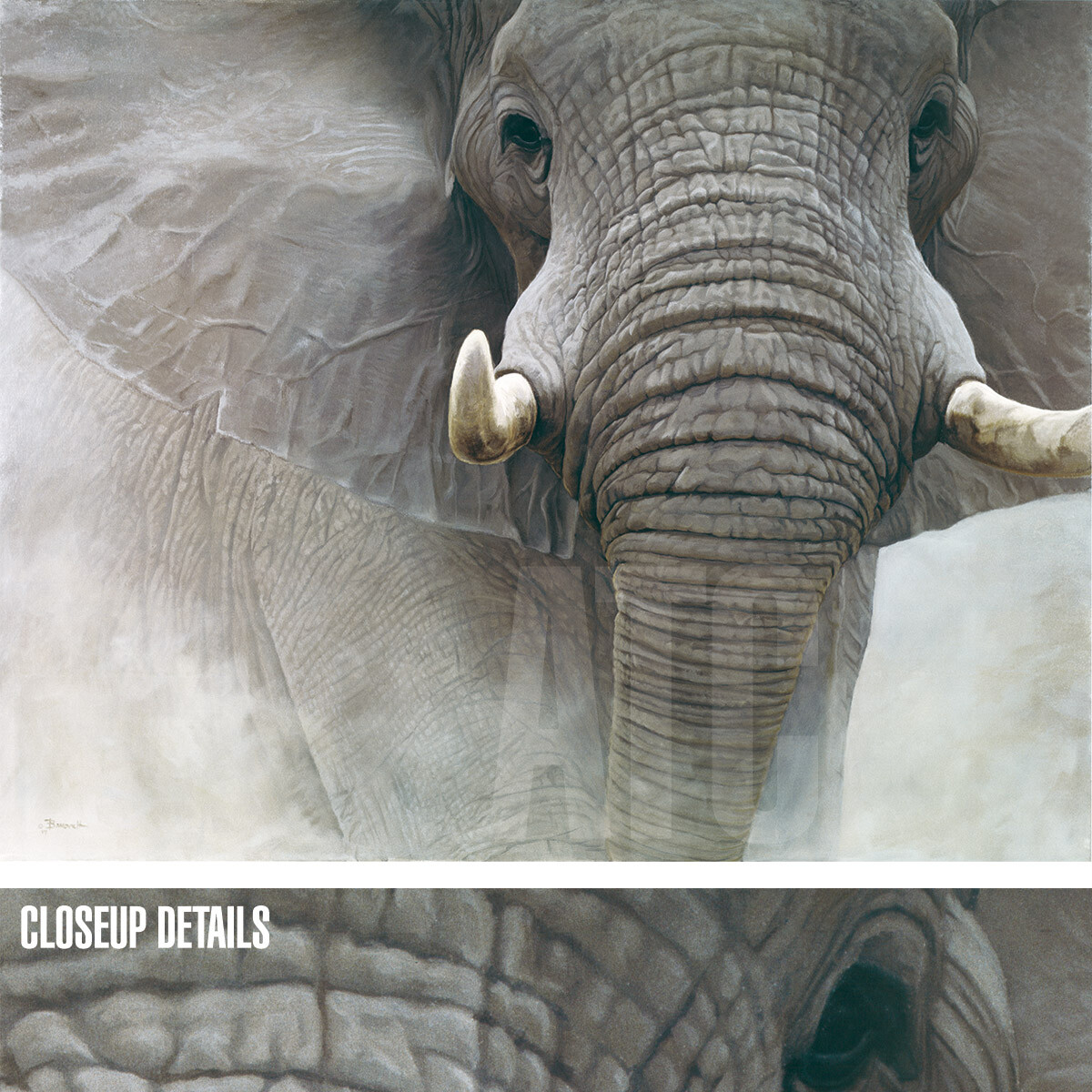 45W”x36″ POWER OF ONE by JOHN BANOVICH – WILDLIFE ELEPHANT – CHOICES of CANVAS