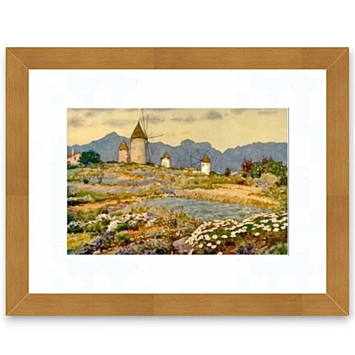Erwin Hubert Molinos Alcudia Mallorca Orig Tourism Print c1949 Fomento Windmill