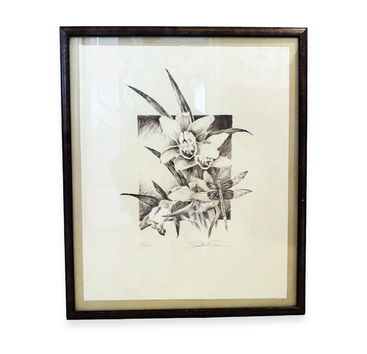 Orchid Dragonfly Hand Colored Etching 54/65 Signed Wood Framed 21.5×25.5