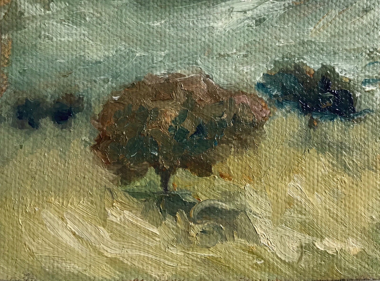 ACEO ATC Print “Tuscan Olive Grove” Tree Italy Landscape Art Trading Card Signed