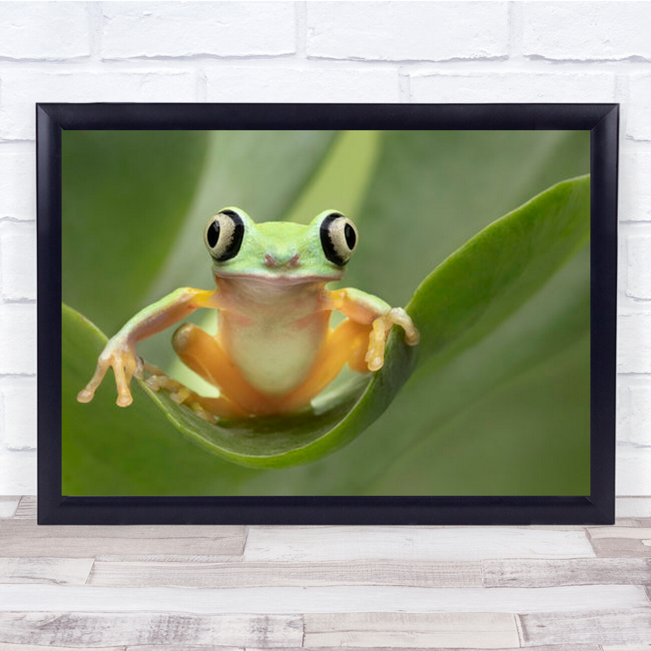 Lemur Tree Frog On A Leaf Amphibian Green Wall Art Print