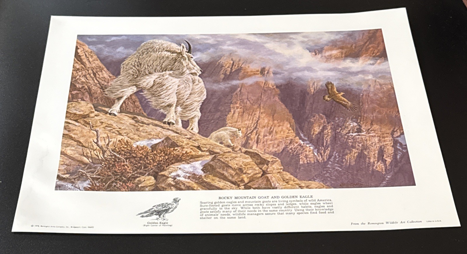 Remington Wildlife Lithograph Print 16×12 Rocky Mountain Goat & Golden Eagle ‘78