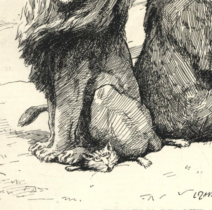 Rare 1912 Cartoon: PERSIA/IRAN British-Russian Relations IMPERIALISM Persian Cat