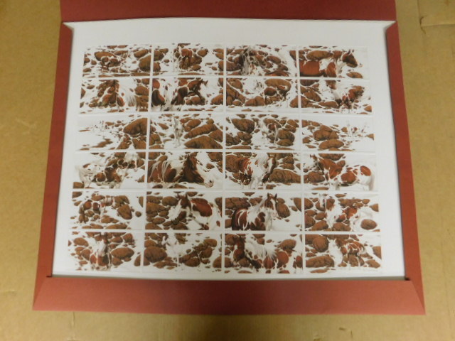 ‘ Hide and Seek ‘ by Bev Doolittle Signed & Numbered – LARGE 26 1/2″ x 32 1/4″ –