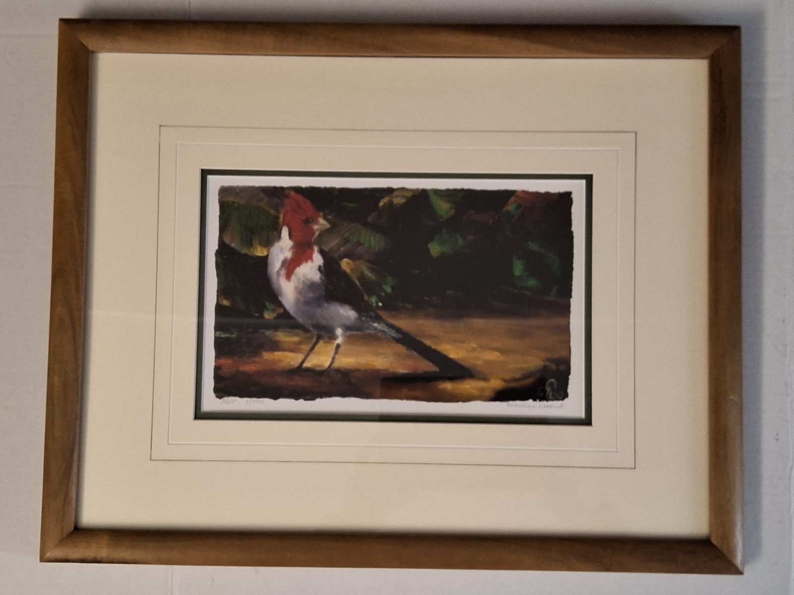 2/250 Limited edition Hawaiian Artist Christain Riso Brazilian cardinal. Signed