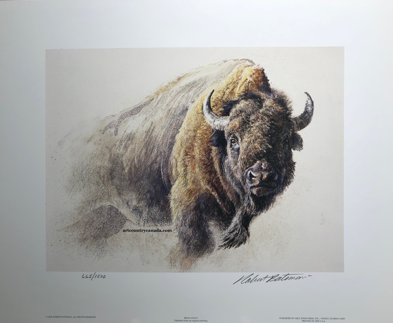 Robert BATEMAN Bison Study LTD Edition Art Print MINT Certificate Chief Buffalo