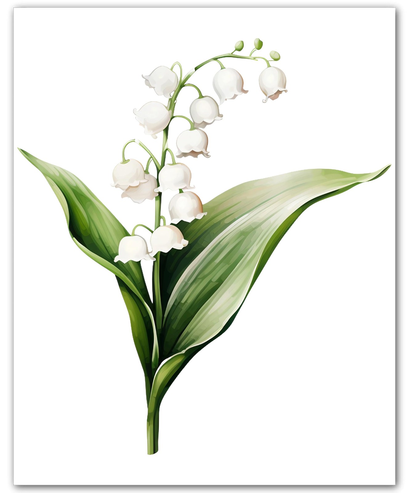 White Lily of the Valley Stem 2012 8×10 Photo Print Botanical Flower Wall Art