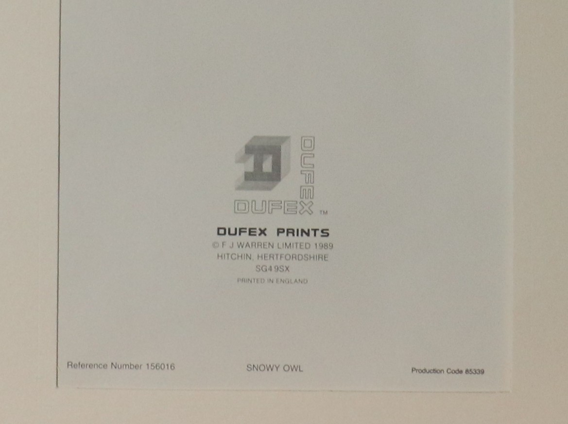 Tiger by Dufex Prints printed on foil NOS (g3)