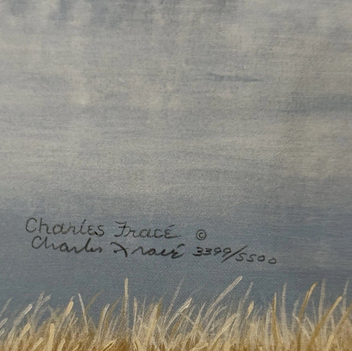 Charles Frace “Wings over America” Signed LE Print Bald Eagle 3399/5500 COA