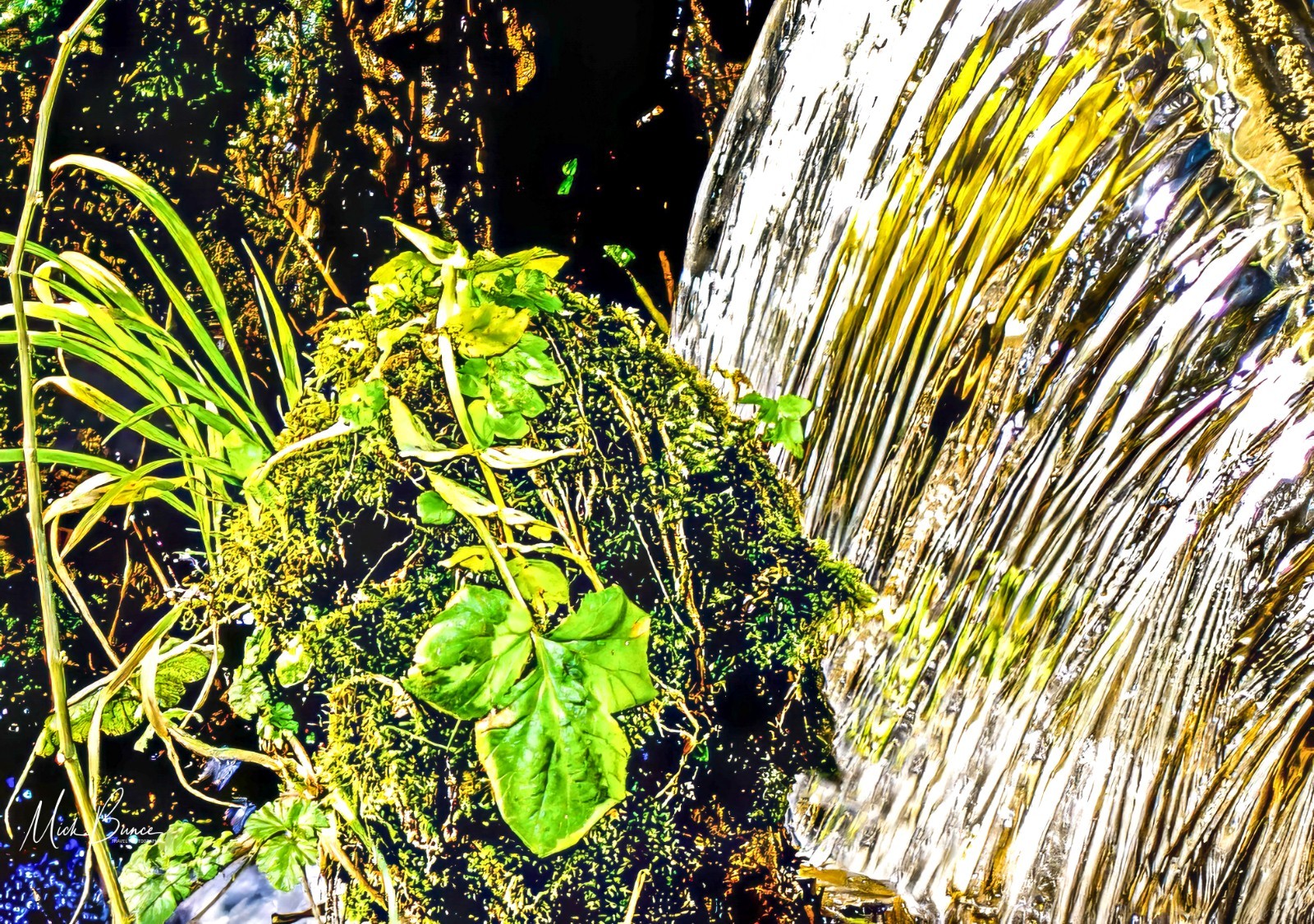 Wall Art “Plants in a waterfall” Landscape United Kingdom A3 Print