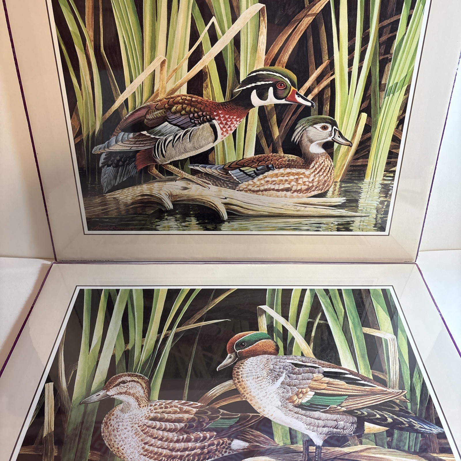 VTG 1992 Set Of 2 Art Prints FT Ducks 20×16” Lithograph SEALED Ready To Hang
