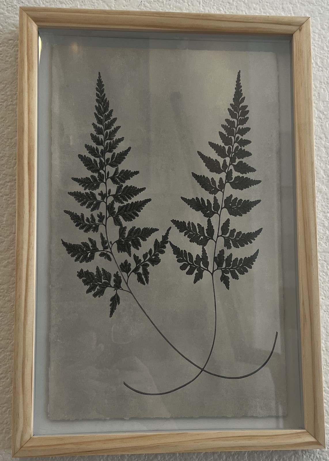 Framed Botanical Fern Print – Nature Art in Solid Poplar Frame 12.5″W X 18.5″H