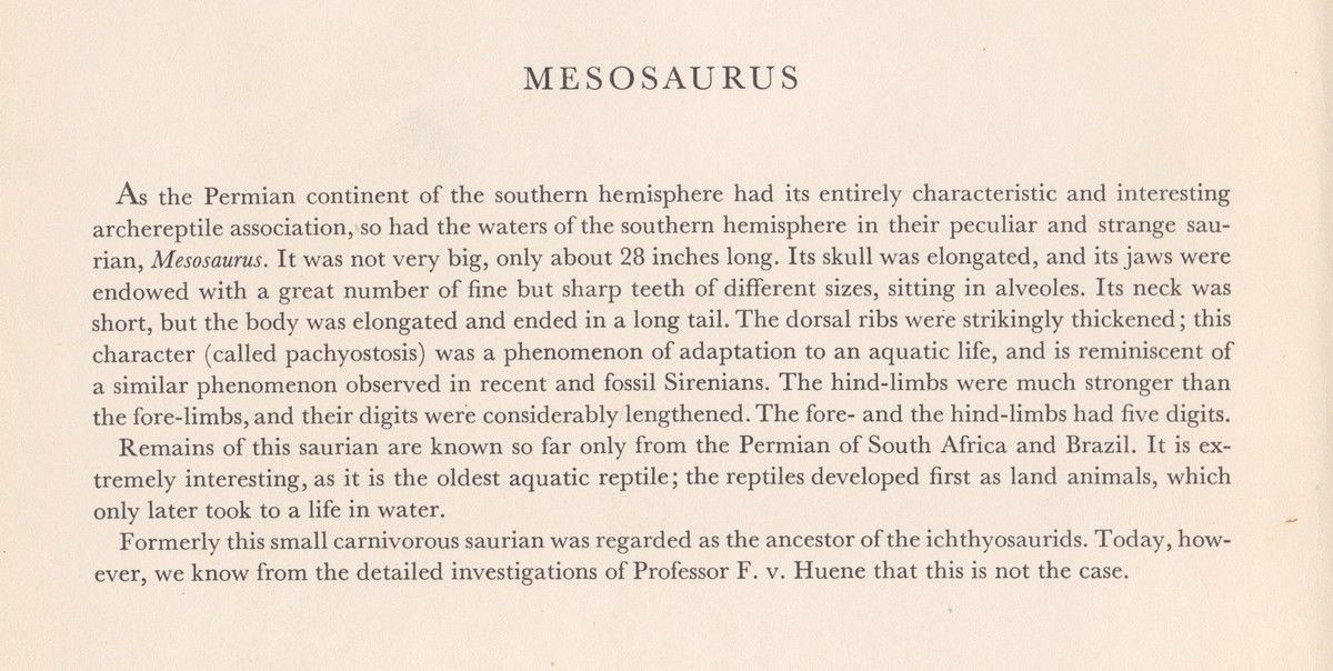 Prehistoric Reptile MESOSAURUS Color Print By Z Burian 1963 VF Clean 9×13″