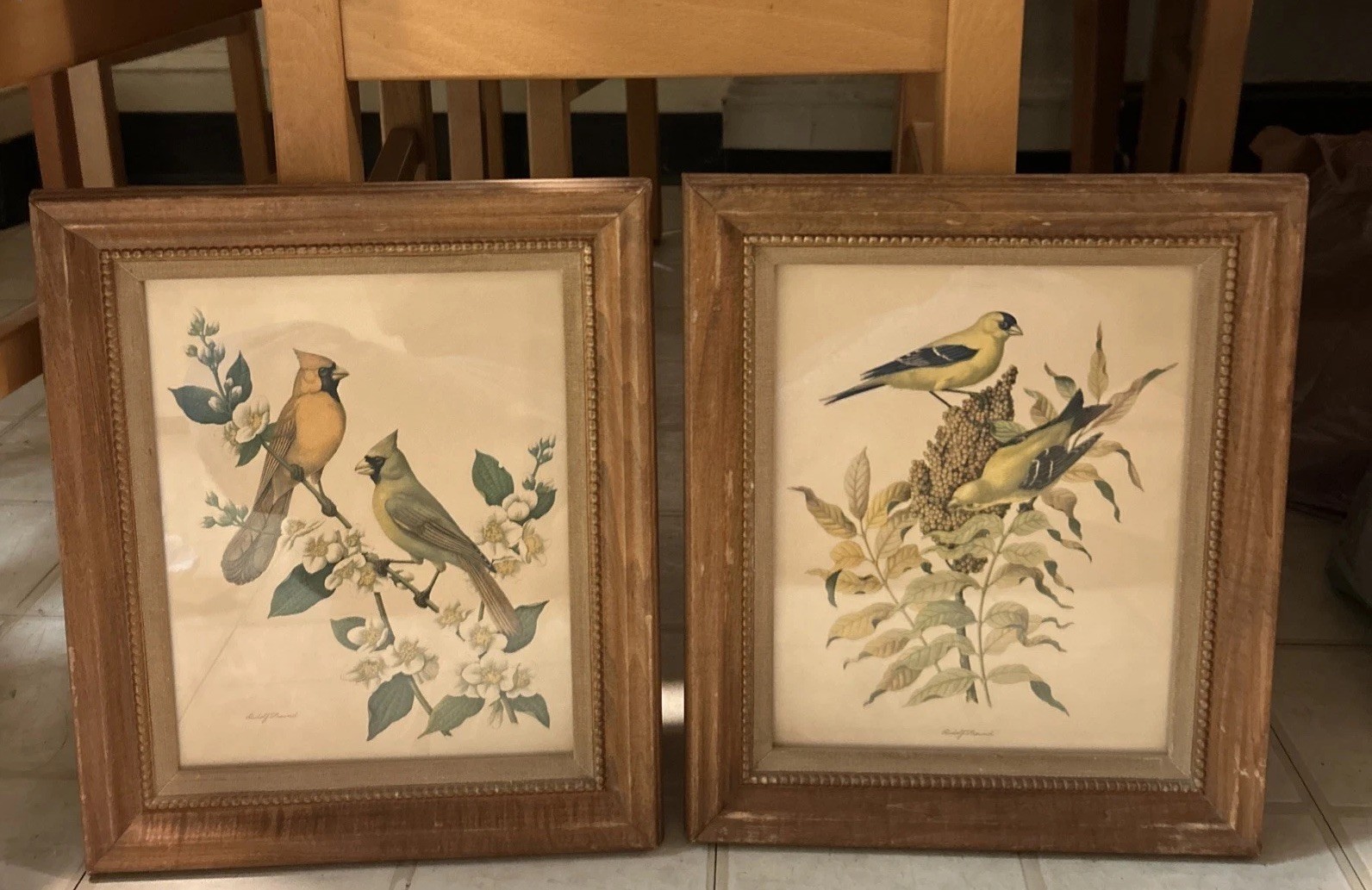 Rudolf Freund 2 Bird Framed Pictures. Frames Have scratches please see photos.