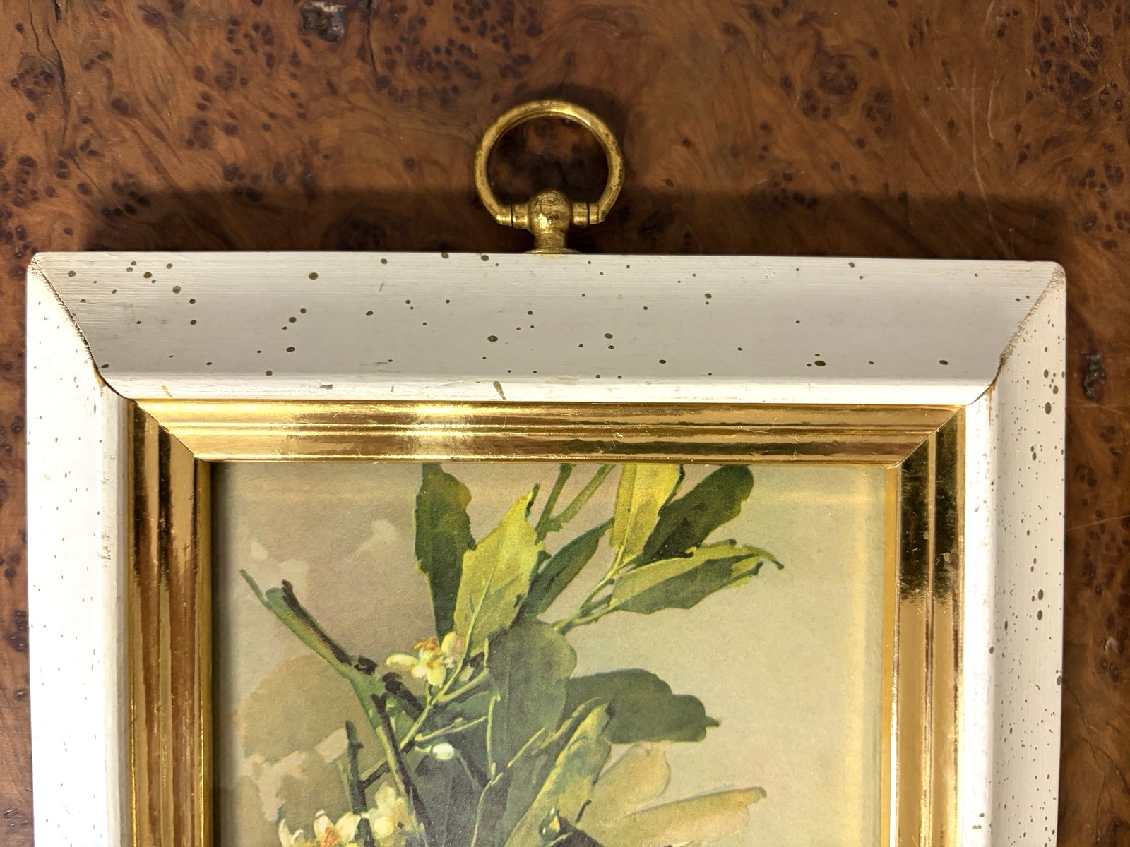 Vintage MCM Pair of Framed Turner Fruit Prints Gold/White Frames Cottage Core