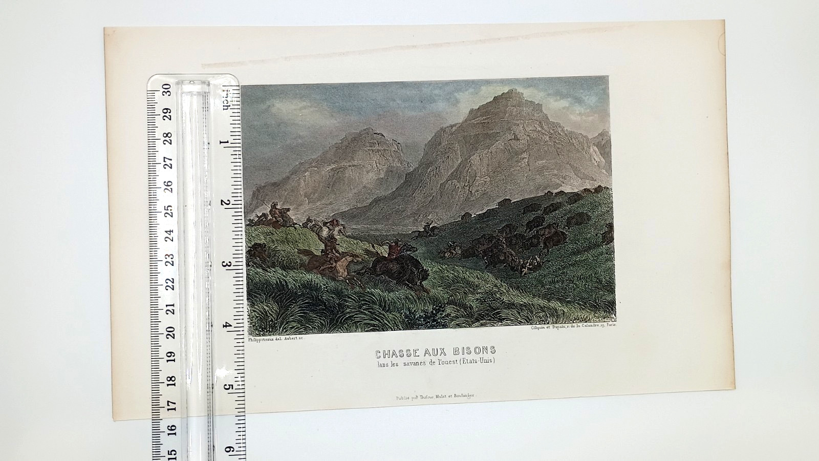 1850s Bison Hunt Engraving Philippoteaux ChasseAux Bisons Western Antique Print